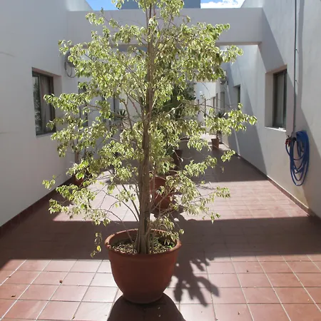 호텔 Avenida De Canarias 베신다리오