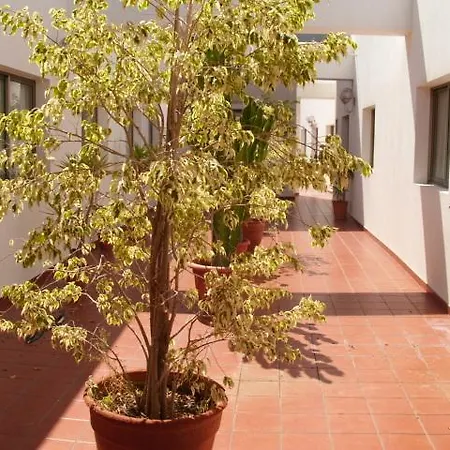 Avenida De Canarias Vecindario (Gran Canaria)