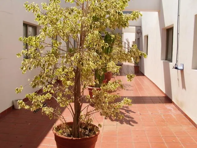 Avenida De Canarias Vecindario (Gran Canaria)